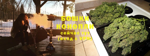 ПСИЛОЦИБИНОВЫЕ ГРИБЫ Алексеевка
