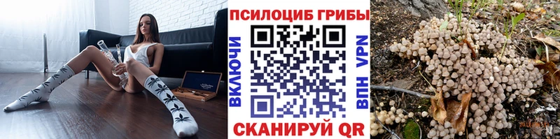 наркотики blacksprut ссылки Галлюциногенные грибы мицелий Москва